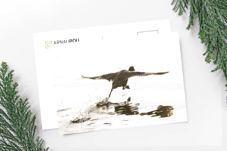 Col·lecció de postals de natura - Arnau Pou